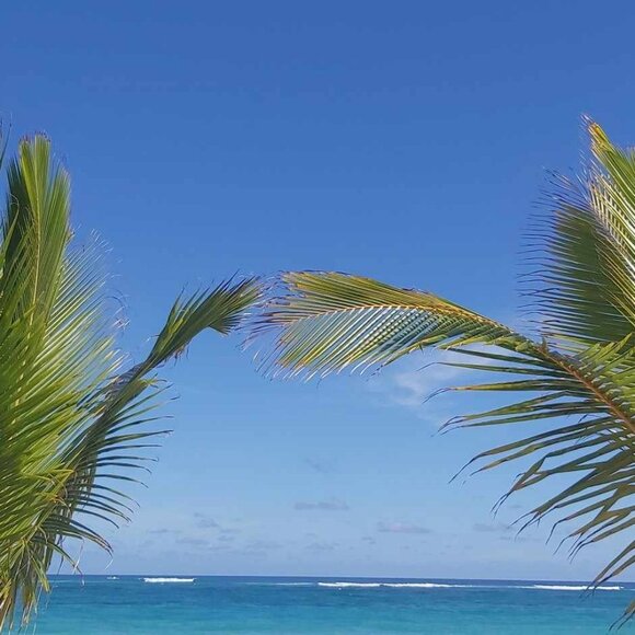 Meet your Posher, LovelyZoey - Picture 1 of 1